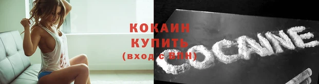 амф Строитель