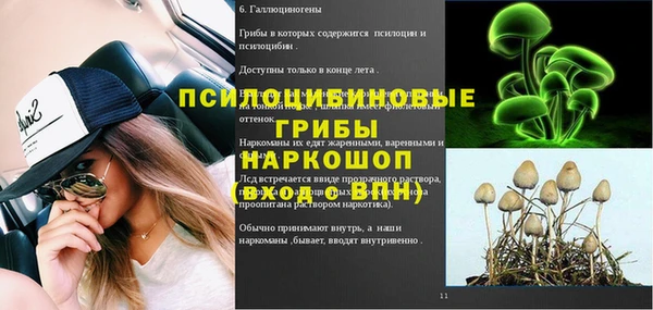 амф Строитель