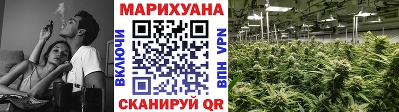 Купить где  Тейково  Шишки марихуана VHQ 